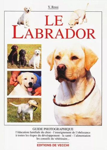 Labrador unknown - le,