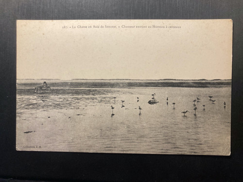 Cpa chasse baie de - cpa;, en