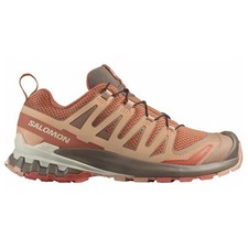 Chaussures Salomon xa pro 3d