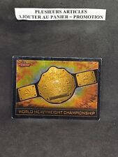 (M2) world heavyweight