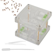 Boîte D'exposition En