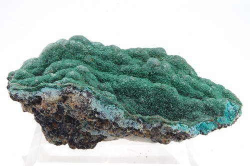 Malachite chrysocolle congo - chrysocolle,,