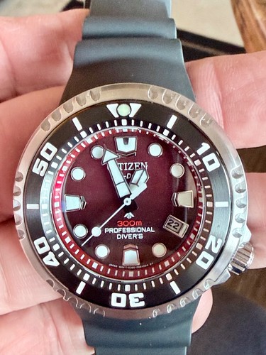 Citizen promaster professional - citizen,