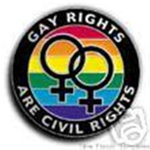 Gay and lesbian - lesbian, lapel