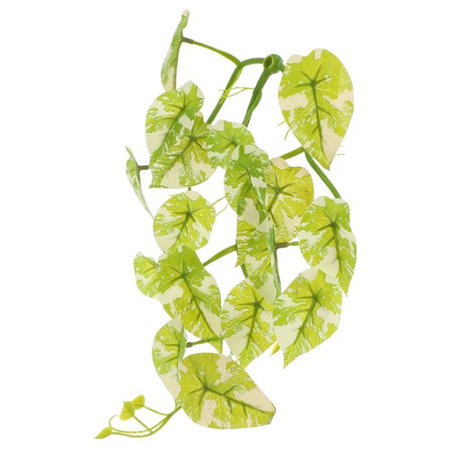 Décorations terrarium - ,