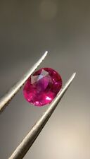 Rubis Sang De Pigeon Naturel Non Traité Birmanie FMG Collection 