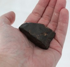Authentique Chondrite