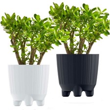 Pot fleurs plante - pot,