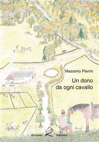Massimo pierini dono da - massimo, un