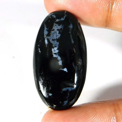 1cts indonésie petrified - 30.1cts.,
