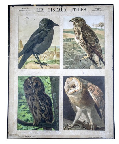 French chromolithography 1879 - french,