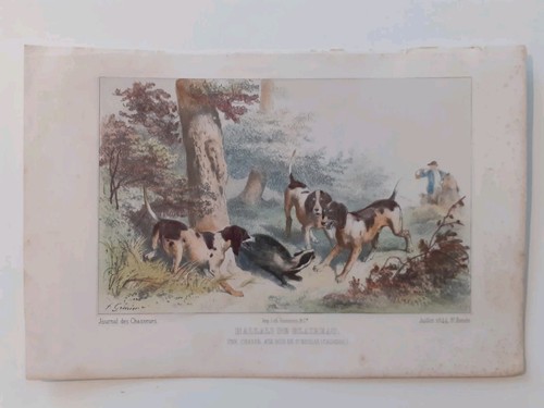 Gravure ancienne chasse - ancienne,