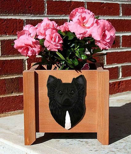 Pot fleurs chihuahua - pot, noir