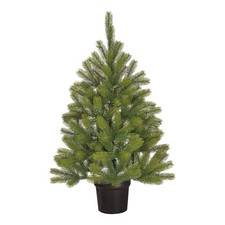 Black Box Trees Nigata Sapin