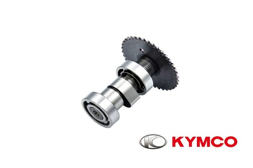 New oem kymco arbre came - a,