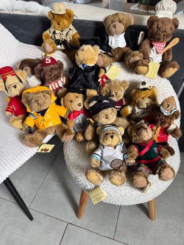 Peluches teddy bear collection - peluches,