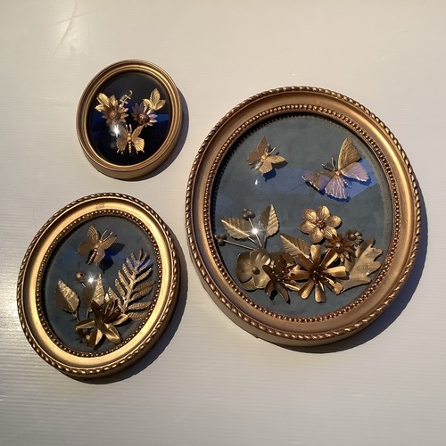 Cadres verre bombé lot 3 - lot, de