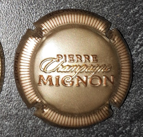Capsule champagne pierre - capsule,