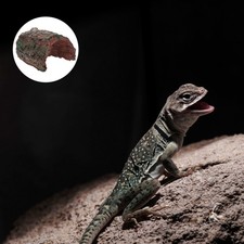  Pet Habitat Small Animal