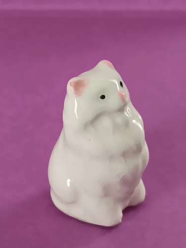 Fève chat blanc - chat, hr