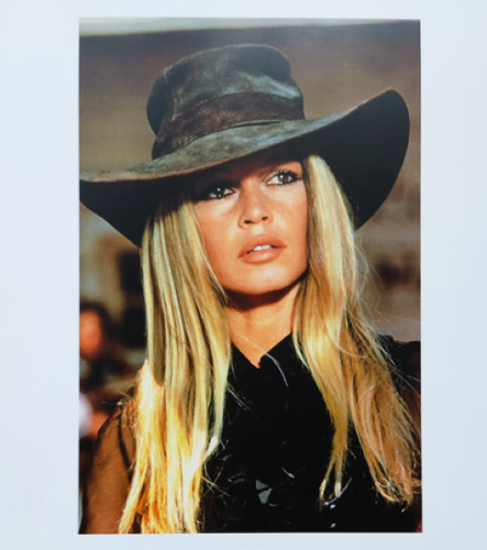 Affiche brigitte bardot les - affiche, bardot,