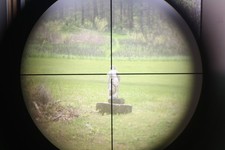 Bushnell sportview 4 5x21 - bushnell,