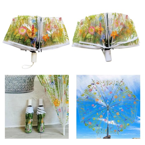 Parapluie transparent trois - parapluie,