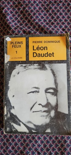 Pleins feux colombe - pleins, la