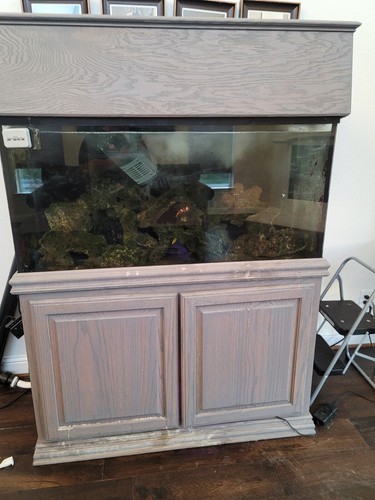 Aquarium 100 gallon - aquarium,