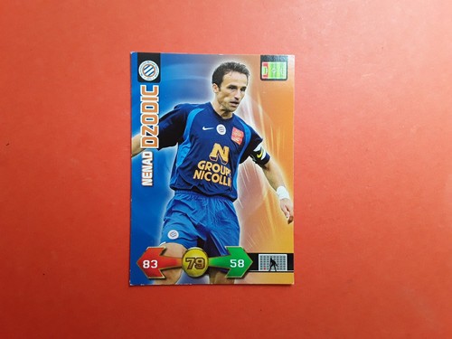 Panini football 2010 nenad - football,