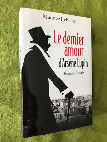 Roman le dernier - le, amour