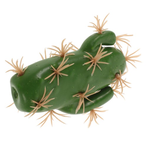 Mini cactus amusant - mini,