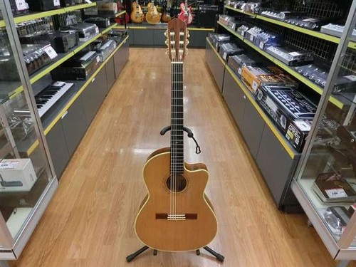 Guitare acoustique électrique