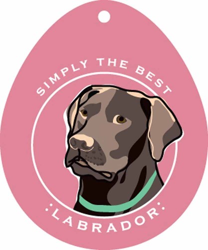 Autocollant labrador chocolat - autocollant,