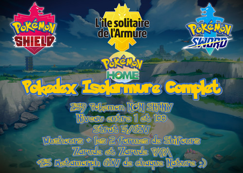 Pokémon epée bouclier 8g - pokémon,
