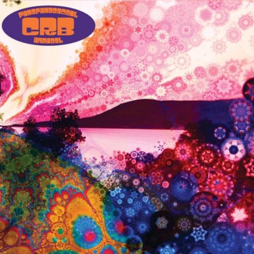 Chris robinson brotherhood - chris,