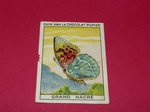 Chromo pupier 1930 - 1930, album