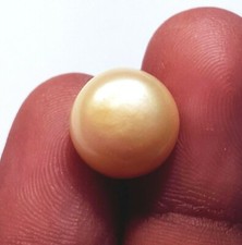 Naturel de Culture Perle Blanche Roundish 6.80 CT Certifié Vrac Pierre Précieuse