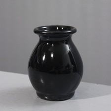 Aegitna Saltalamacchia à