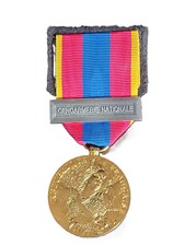 MEDAILLE DE LA DEFENSE