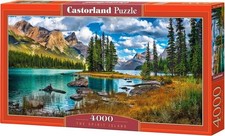 C4001882  Puzzle  Île