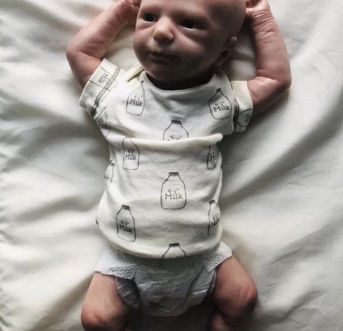 Reborn baby boy aspen - reborn,