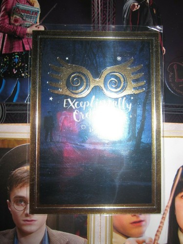Harry potter poudlard panini - harry,