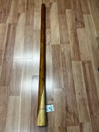 Didgeridoo eucalyptus inch - didgeridoo,