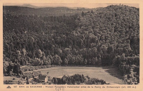 Saverne maison forestiere - saverne,