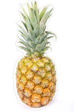 Autocollant sticker vinyl