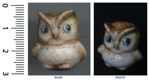Collection chouette hibou - collection, de
