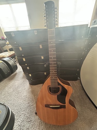 Unique giannini string - unique, 12-string
