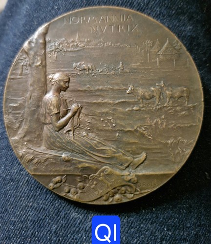 Dépt rouen méd bronze - rouen-, méd.
