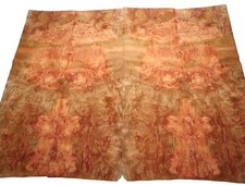 Racine De Bois Contreplaqué